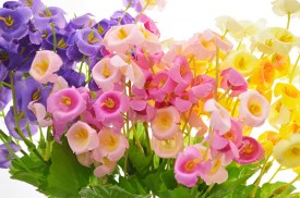 Ramo florcitas x5x12 (5)